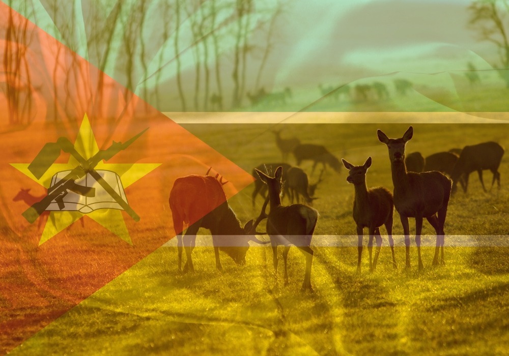 Conoce Mozambique con sus Bellezas Naturales