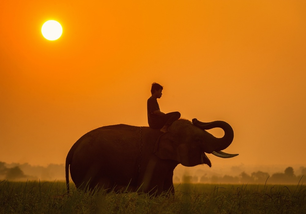Conoce Tanzania - Un Paraíso de África