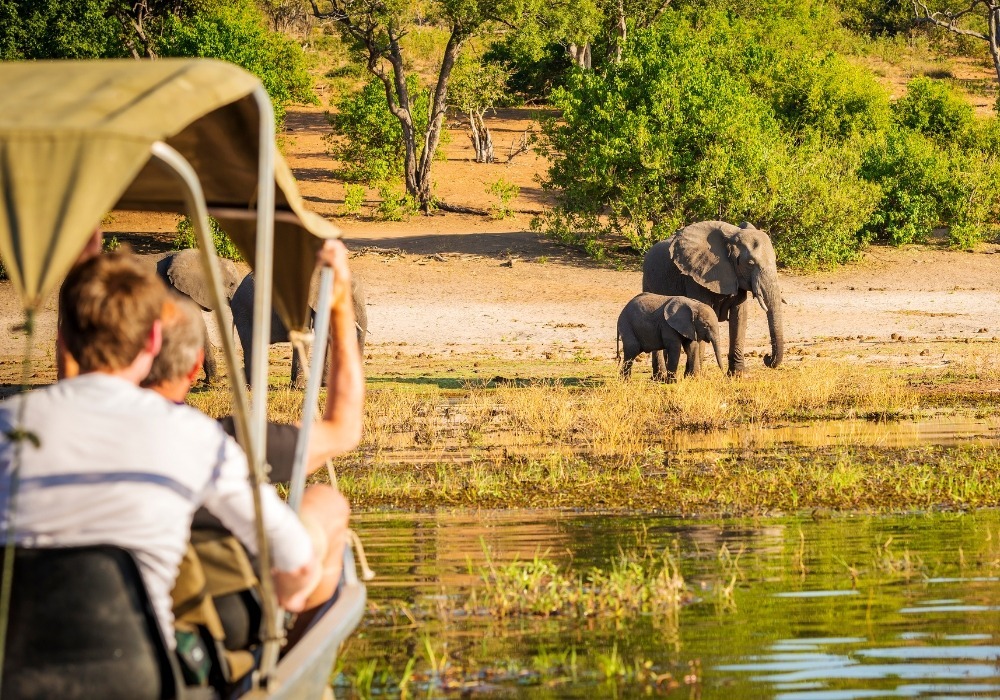 Cuánto Cuesta Hacer un Safari en África