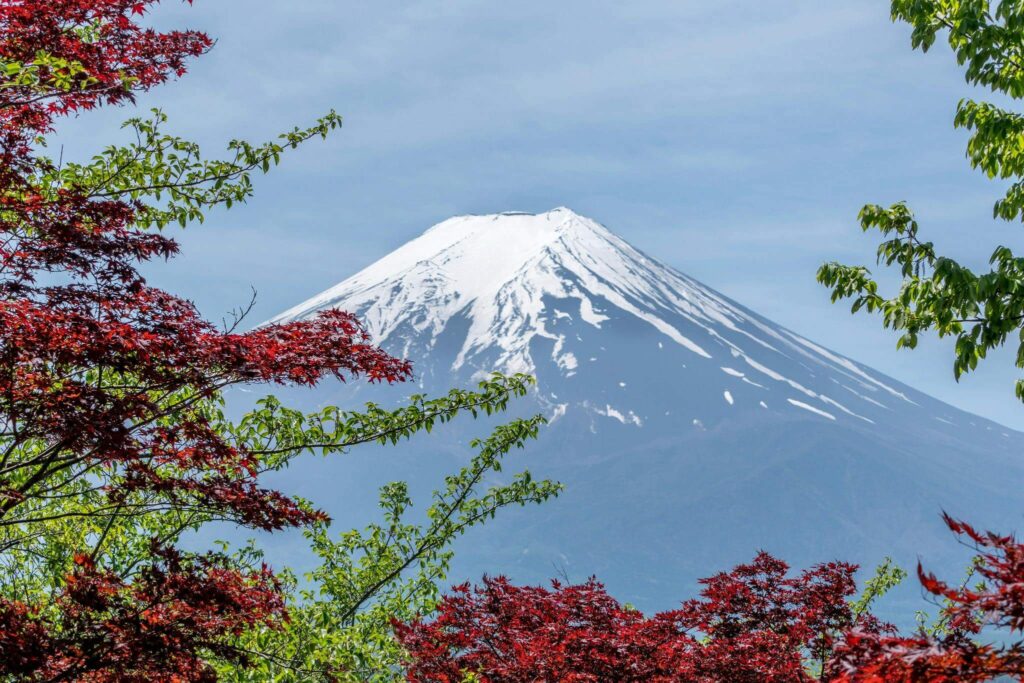 Viaje a Tokio Puntos Imprescindibles